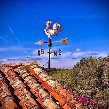 Spartaco Eco Retreat San Pantaleo Sole Ruiu ภายนอก รูปภาพ