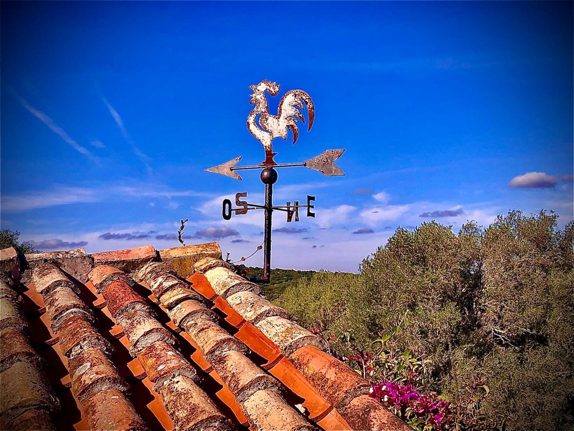 Spartaco Eco Retreat San Pantaleo Sole Ruiu ภายนอก รูปภาพ