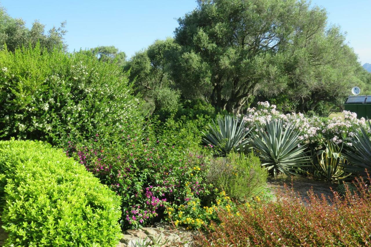Spartaco Eco Retreat San Pantaleo Sole Ruiu ภายนอก รูปภาพ