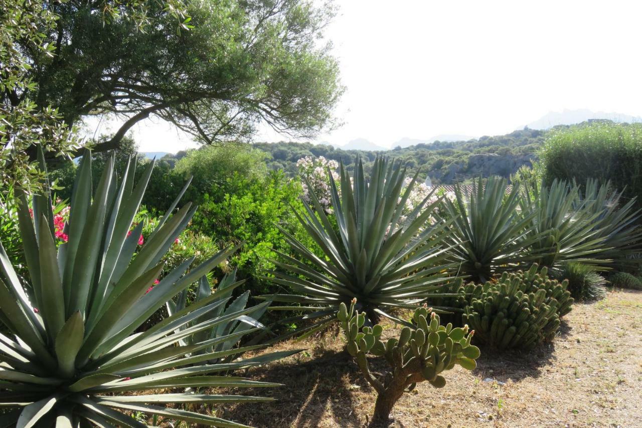 Spartaco Eco Retreat San Pantaleo Sole Ruiu ภายนอก รูปภาพ